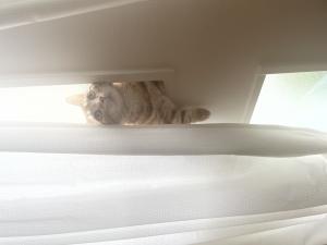 出勤してます！