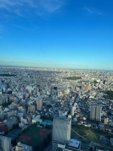 おはようございます☀︎