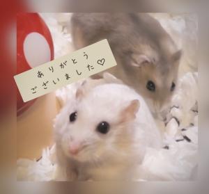 こんにちは♡