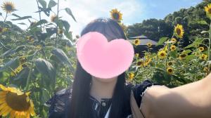 ひまわり～