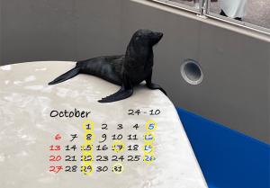 10月の出勤予定日