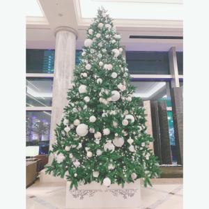 2024.12.24【Merry Christmas✨】