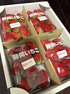 こんにちは！