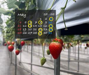 5月の出勤予定日