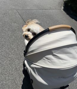 おはようございます☀︎