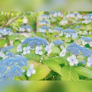 6月も宜しくお願いします♡
