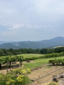 本日出勤です♪