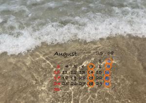 8月の出勤予定日