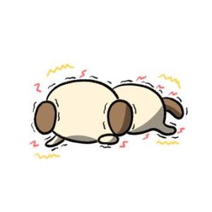 出勤予定