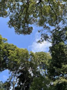 ✩︎*॰ ( ¨̮ ) ॰*✩︎