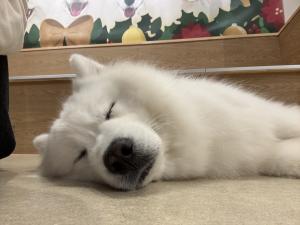 11/6(木)出勤です☺︎