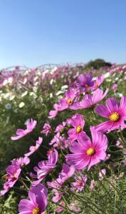 11月もよろしくお願いします❁⃘*.ﾟ