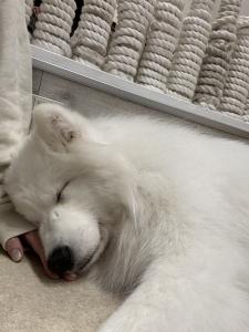 本日もありがとうございました☺︎