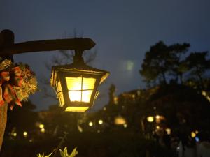 出勤予定日のお知らせ⚑︎⚐︎(変更あり)