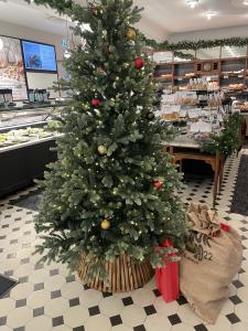 こんばんは〜〜