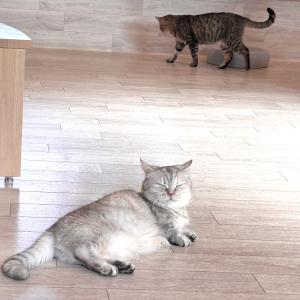 おはようございます