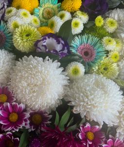 おはようございます！